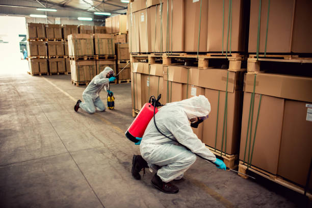 Best Wildlife Control Services  in South Paris, ME