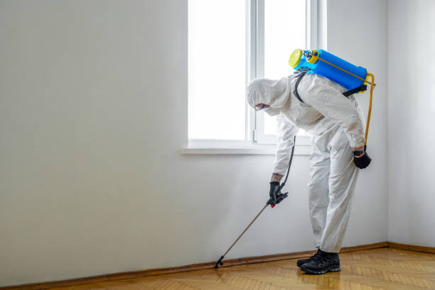 Best Affordable Pest Control Services  in South Paris, ME