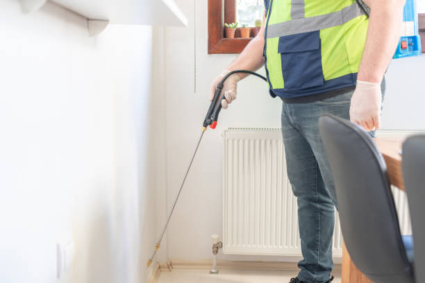 Reliable South Paris, ME Pest Control Solutions