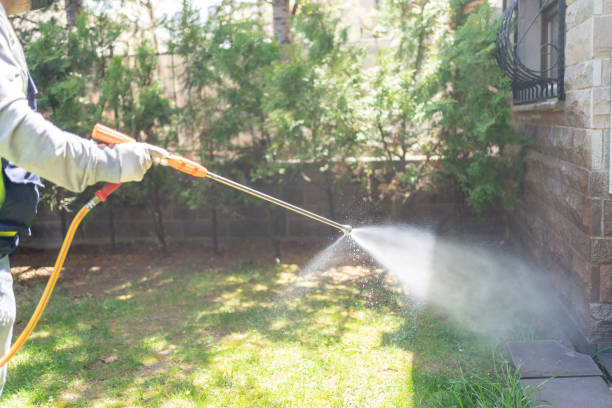 Best Pest Prevention Services  in South Paris, ME